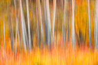 Seasons