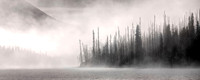 Maligne Mist